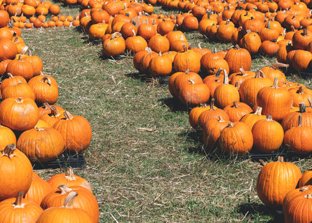 The Origins of Halloween