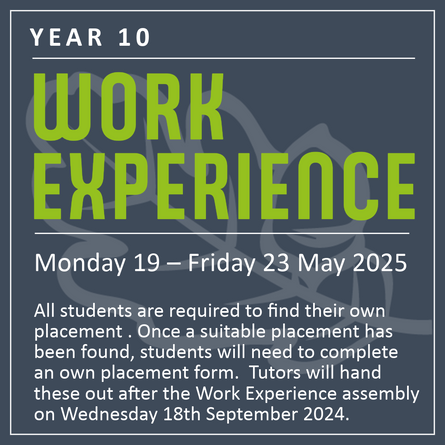 Work Experience 2025
