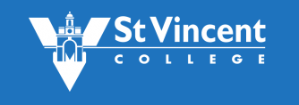 St Vincent Curriculum Update