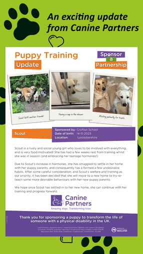 Canine Partners update