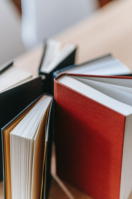 Verity - Book Review